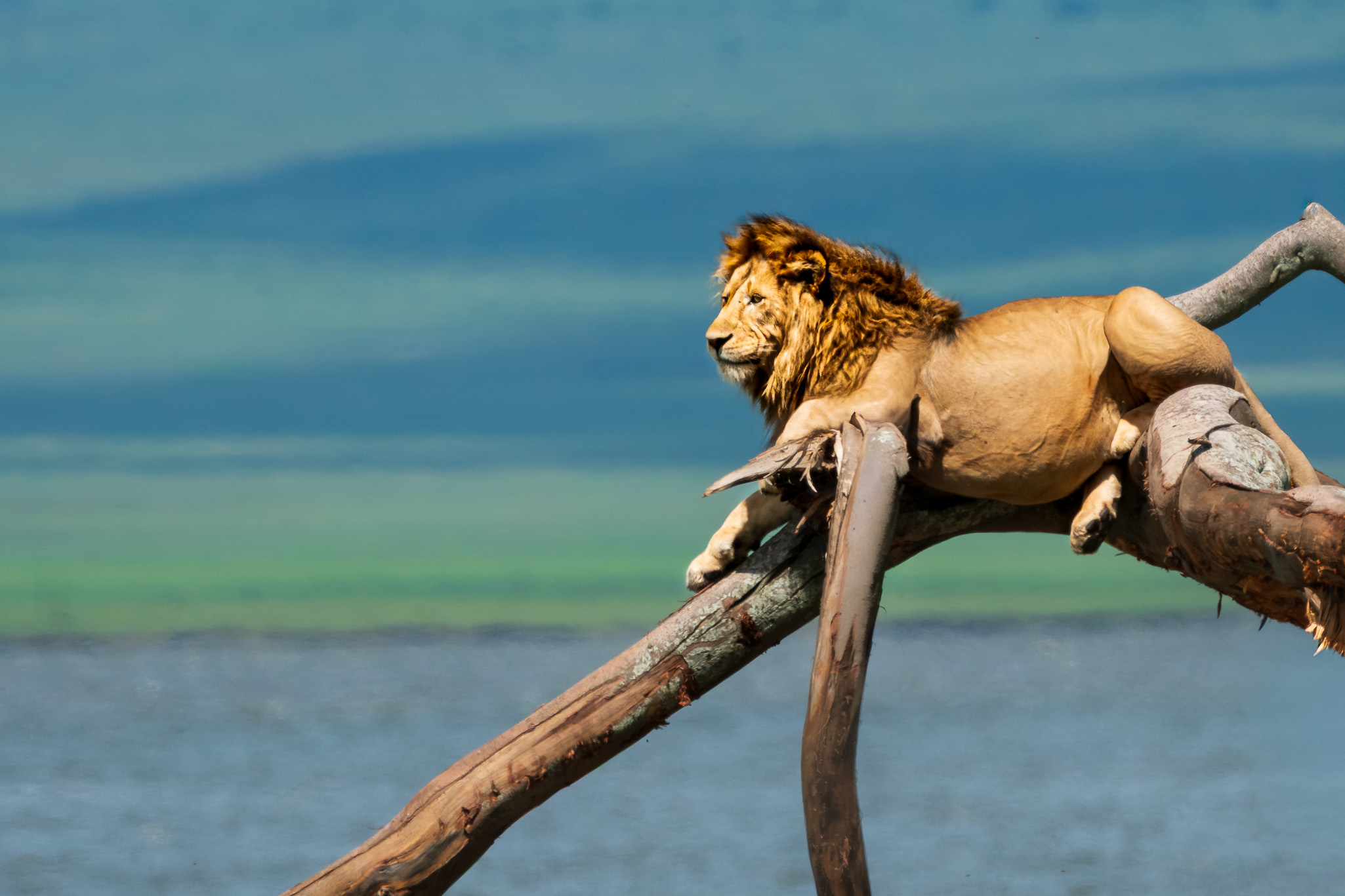 Tanzania 20260327 0860