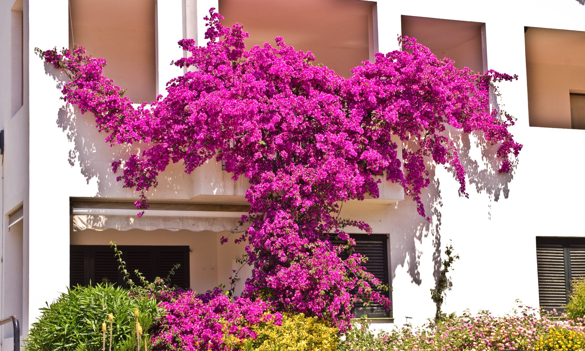 Cadaques20100605 39