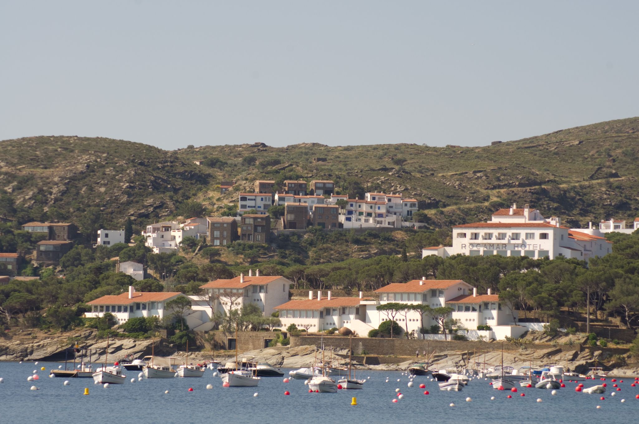 IMGP1008