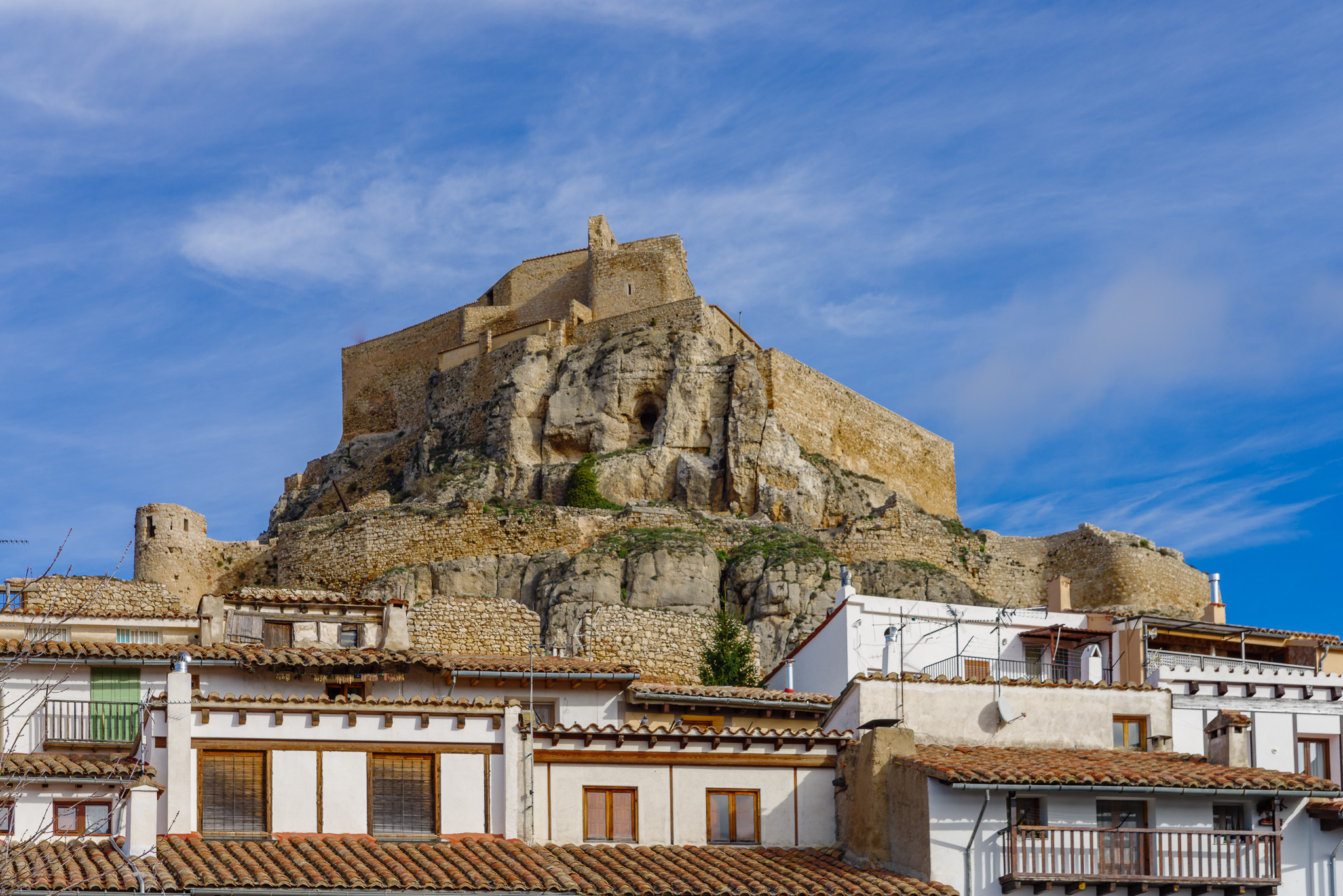 Morella 20241123 0061