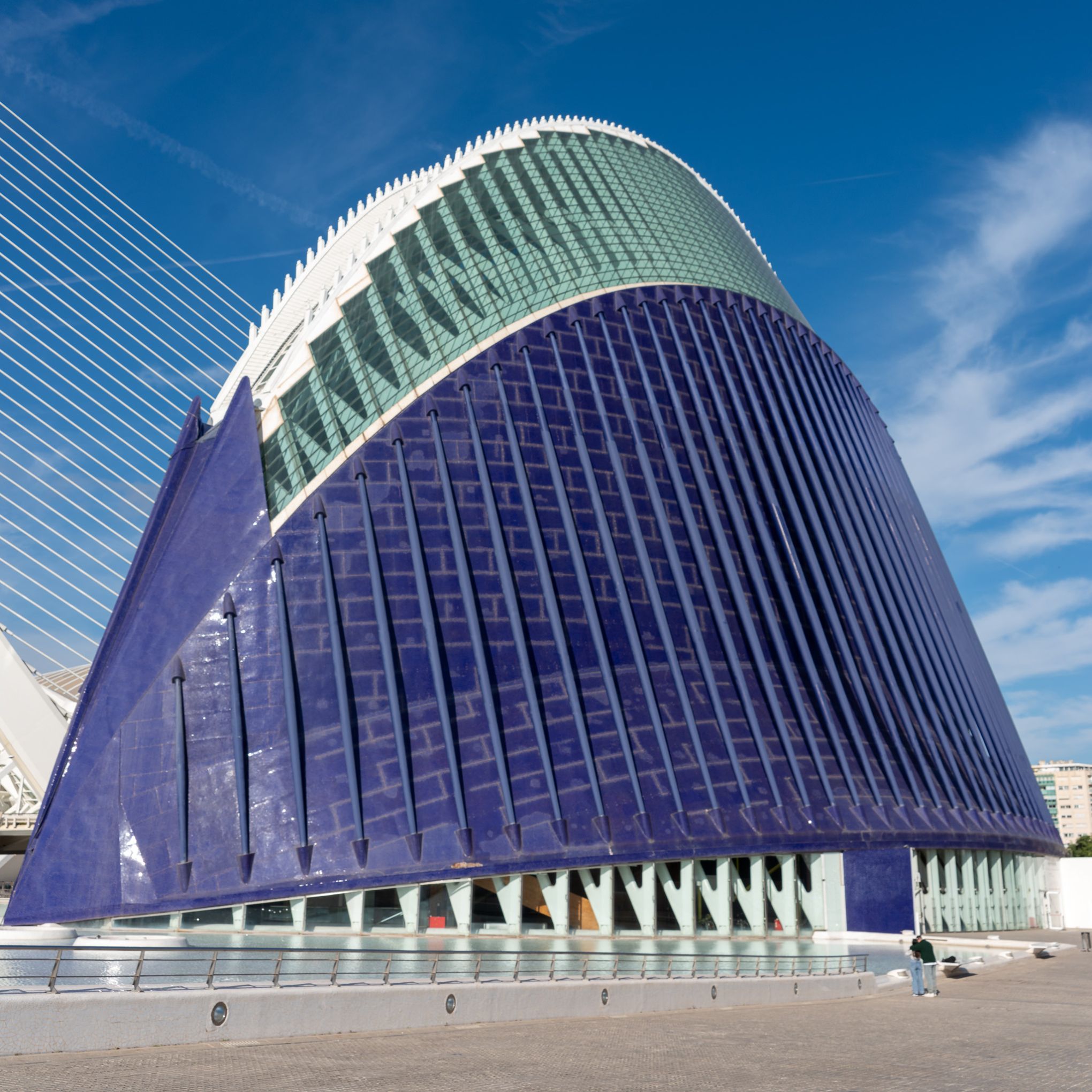 Valencia 20241126 0488