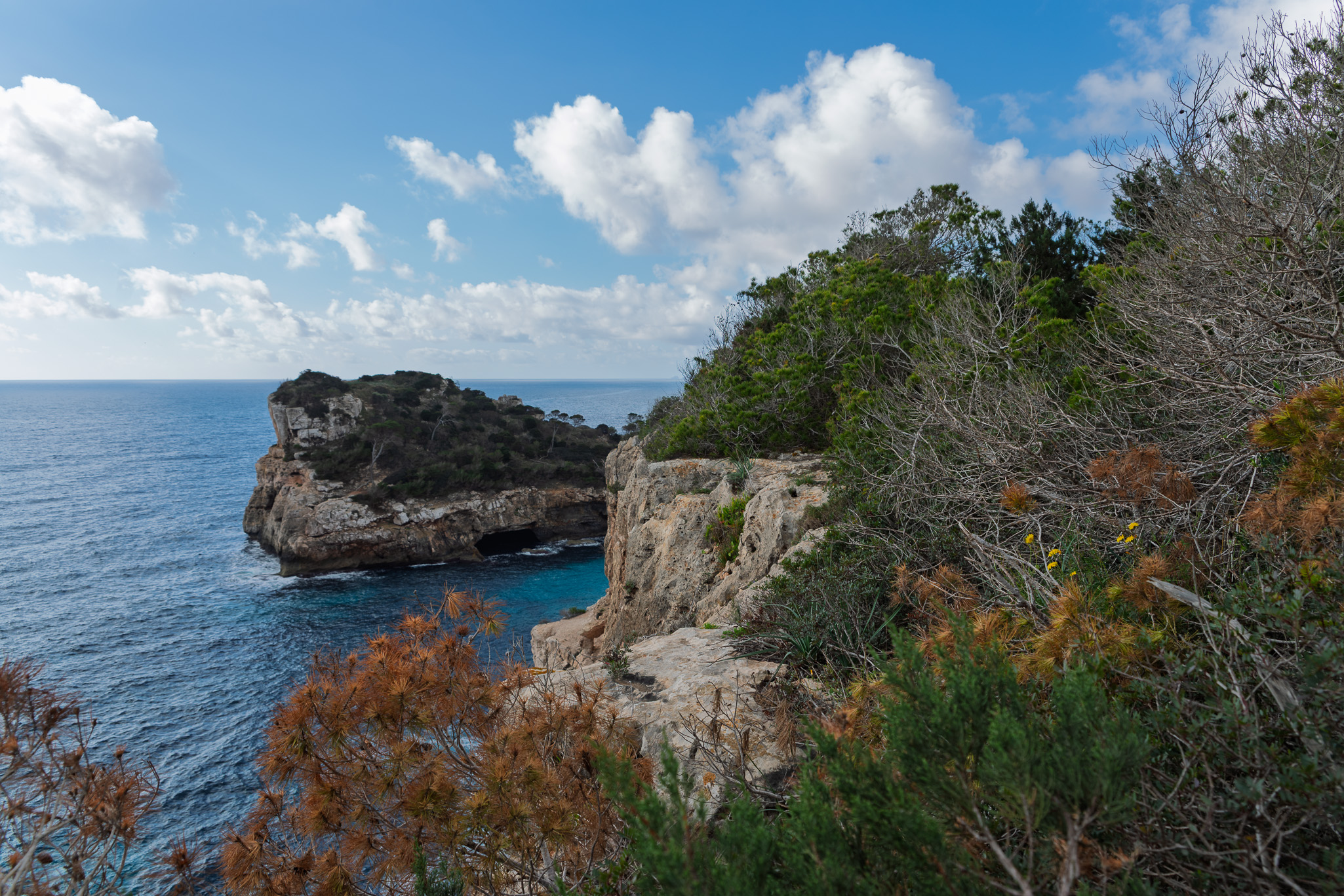 Cala Vientre 1253