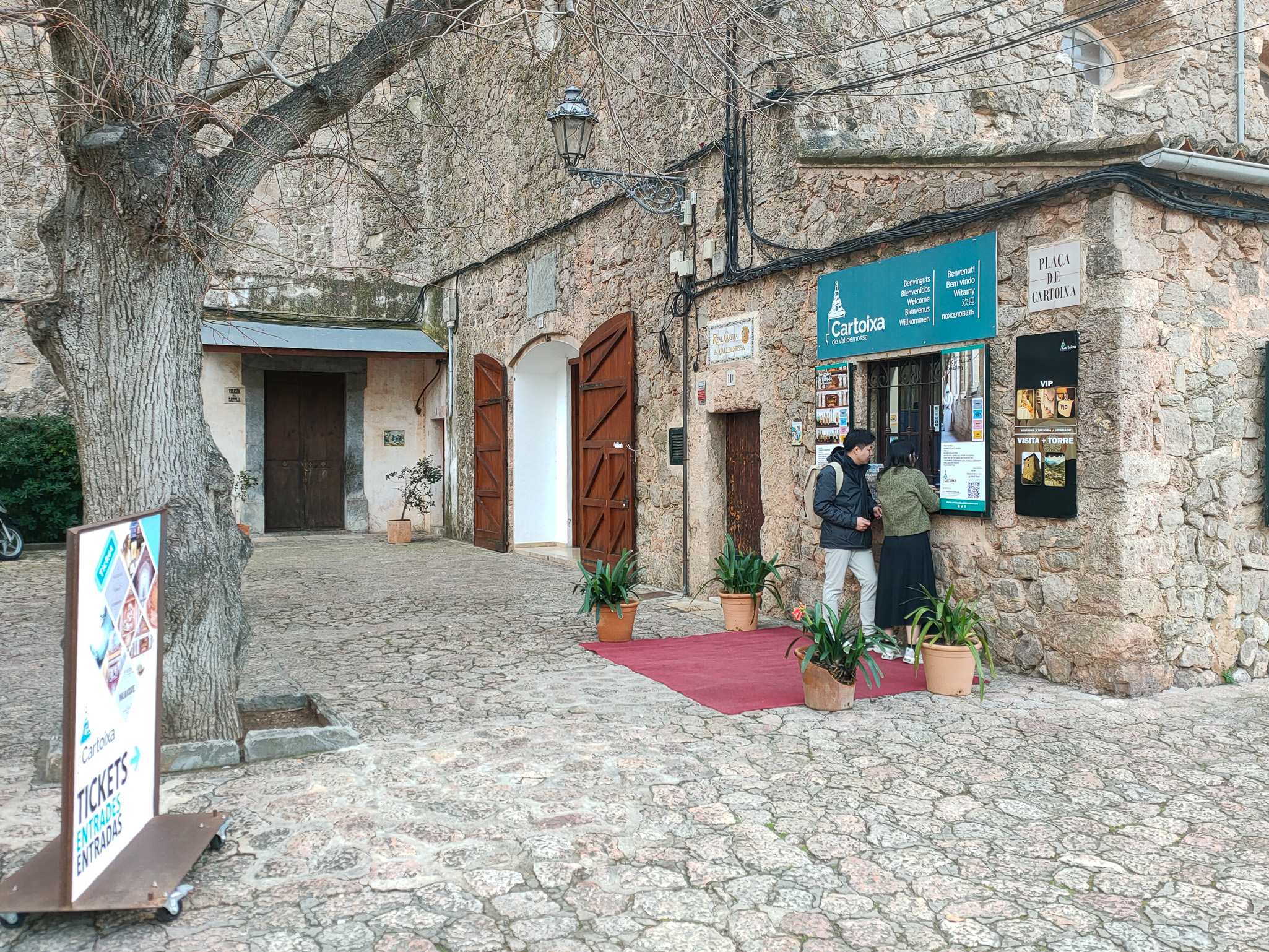 Valldemosa 2656