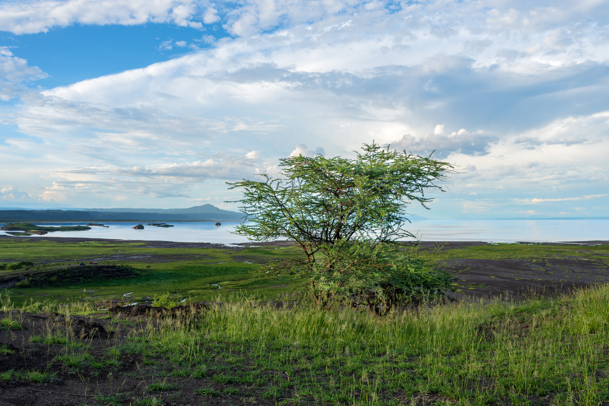 Tanzania 20260322 4582