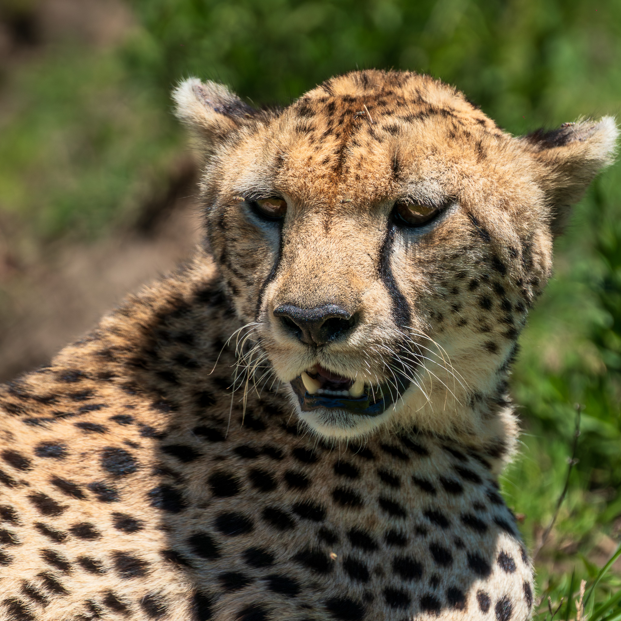 Tanzania 20260325 0510