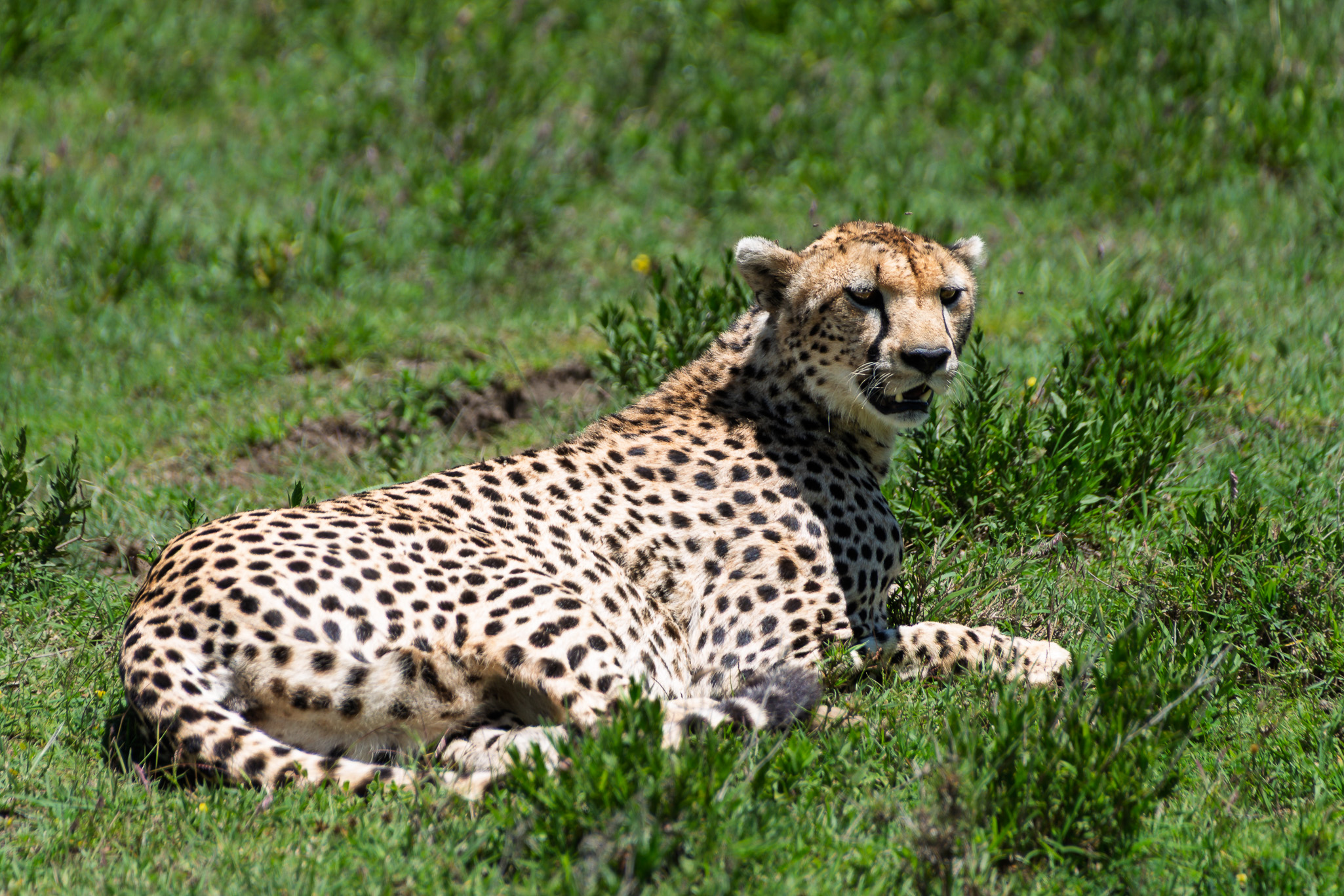 Tanzania 20260325 5128