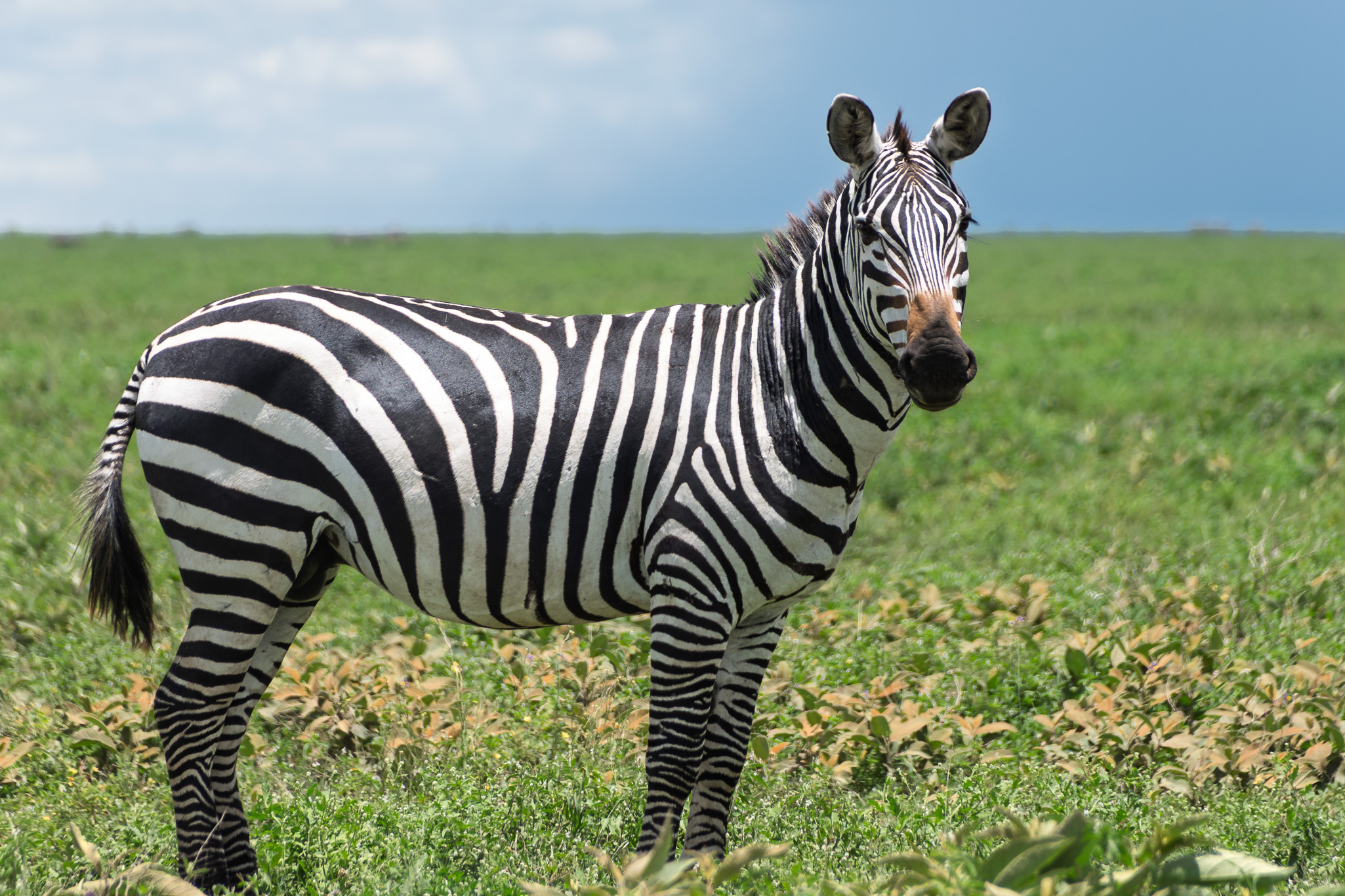 Tanzania 20260326 5315