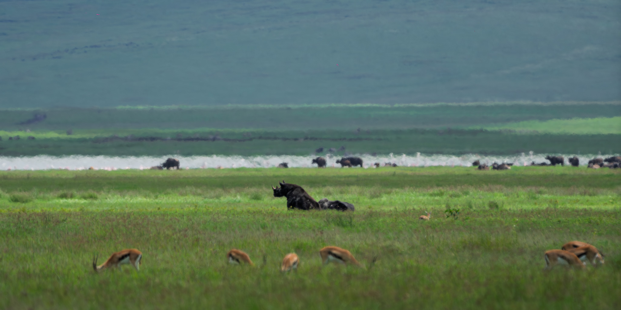 Tanzania 20260327 0801