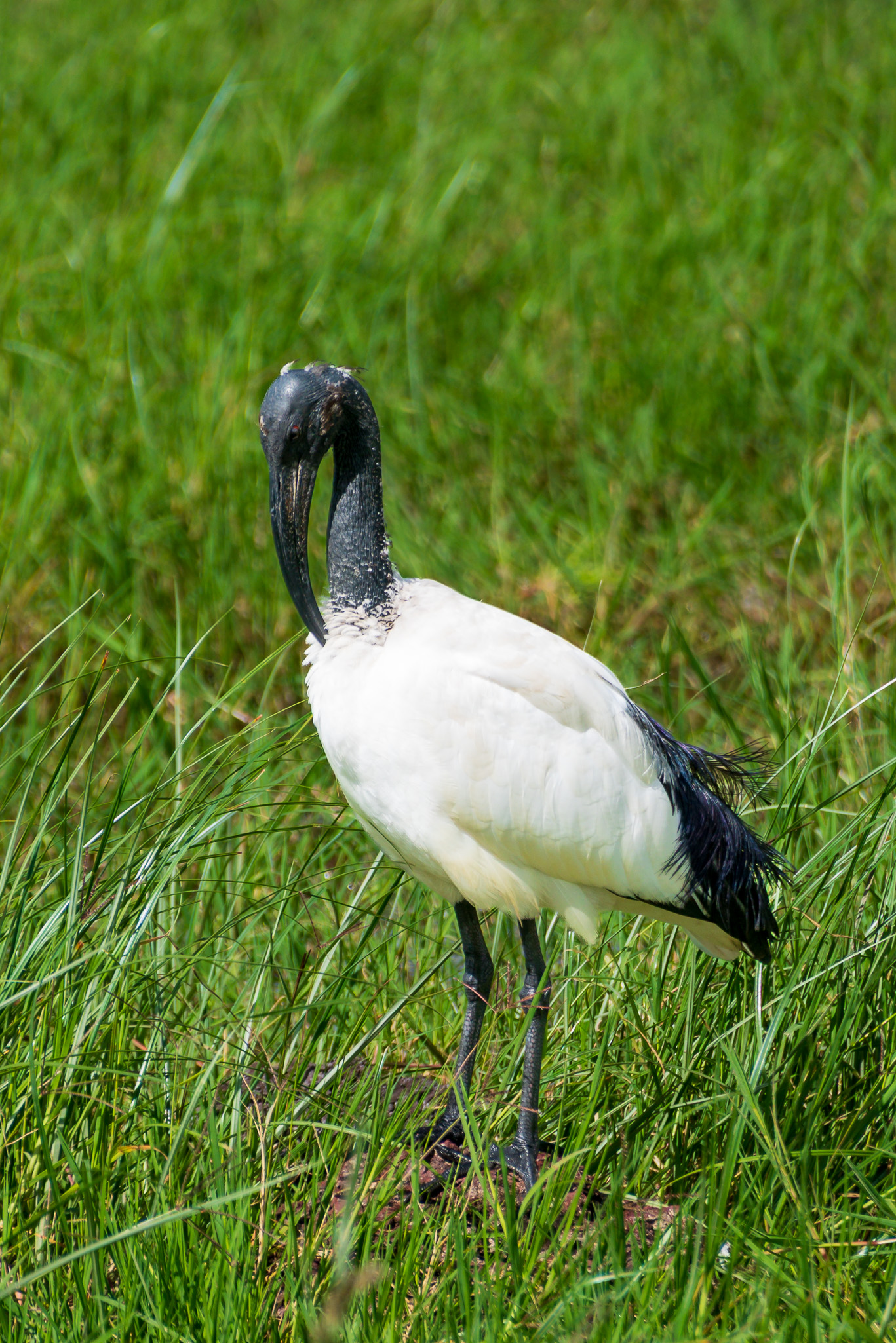 Tanzania 20260327 5380