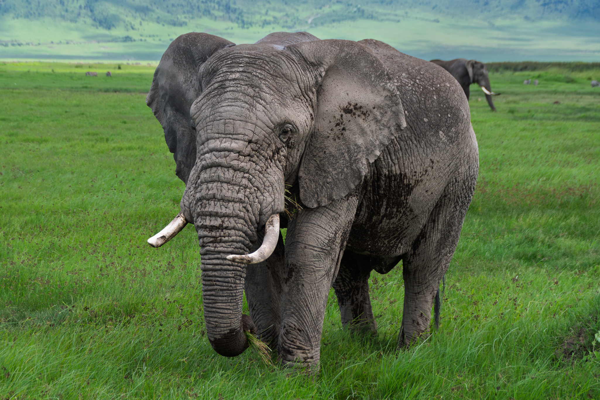 Tanzania 20260327 5467