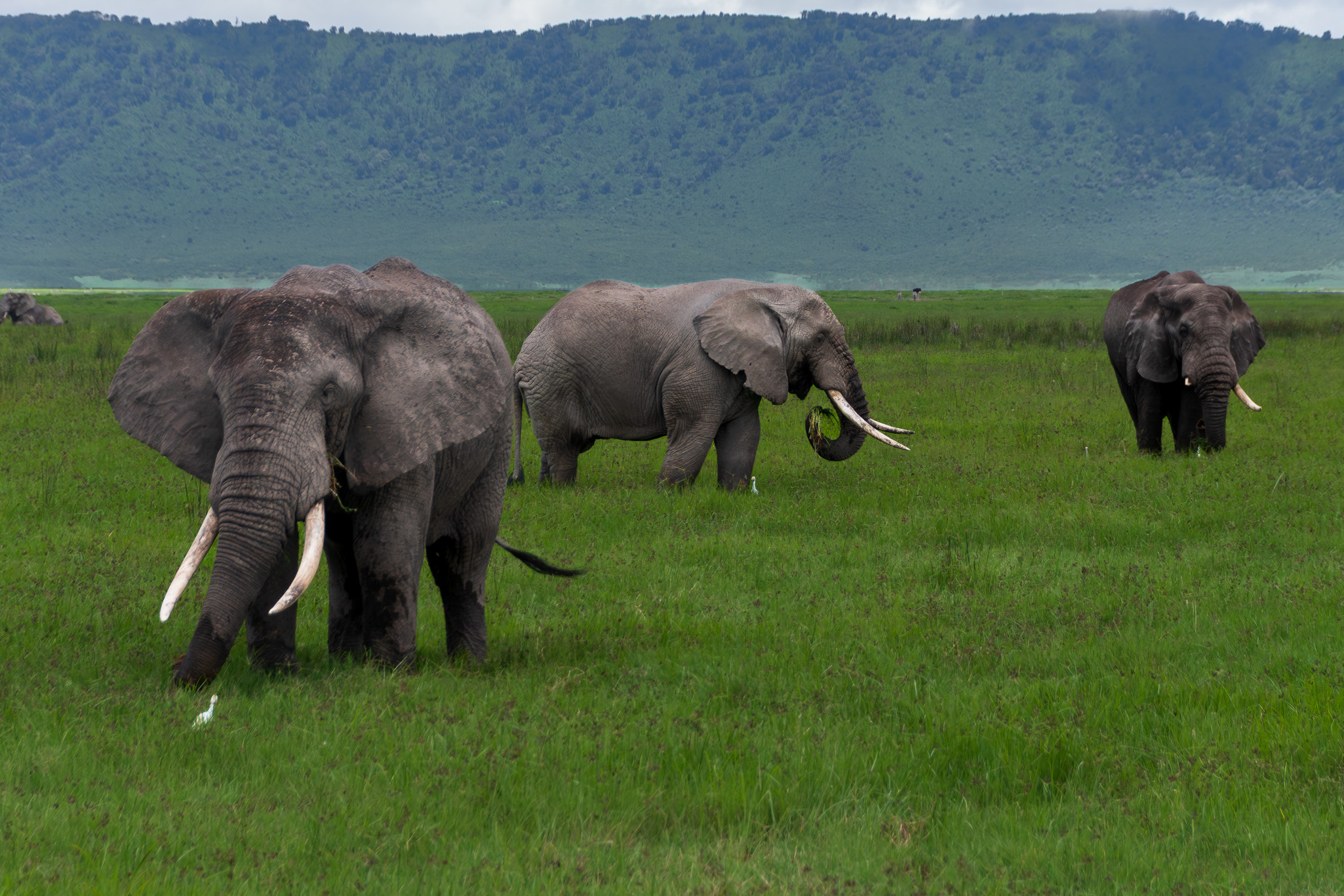 Tanzania 20260327 5474