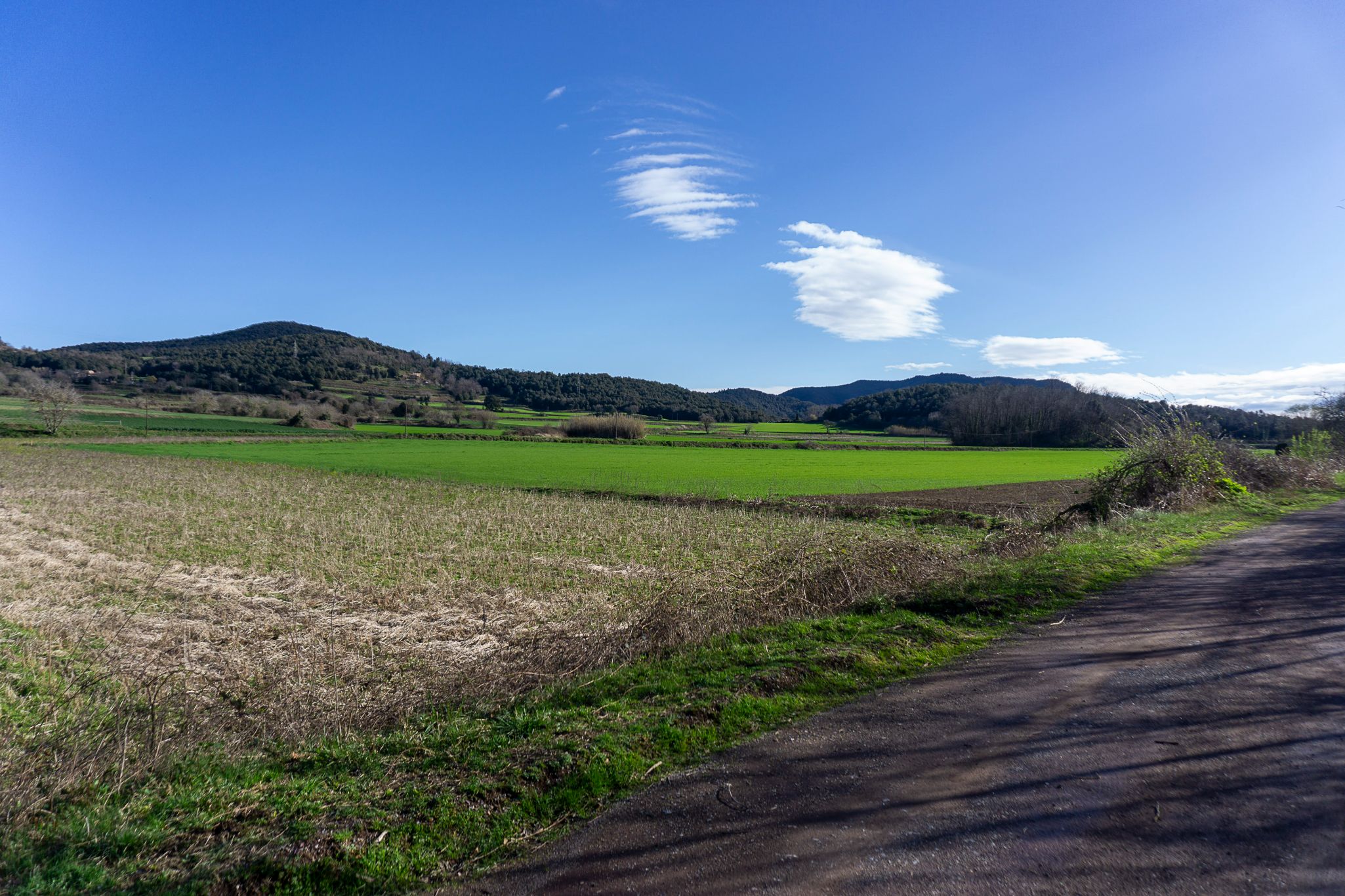 DSC05058