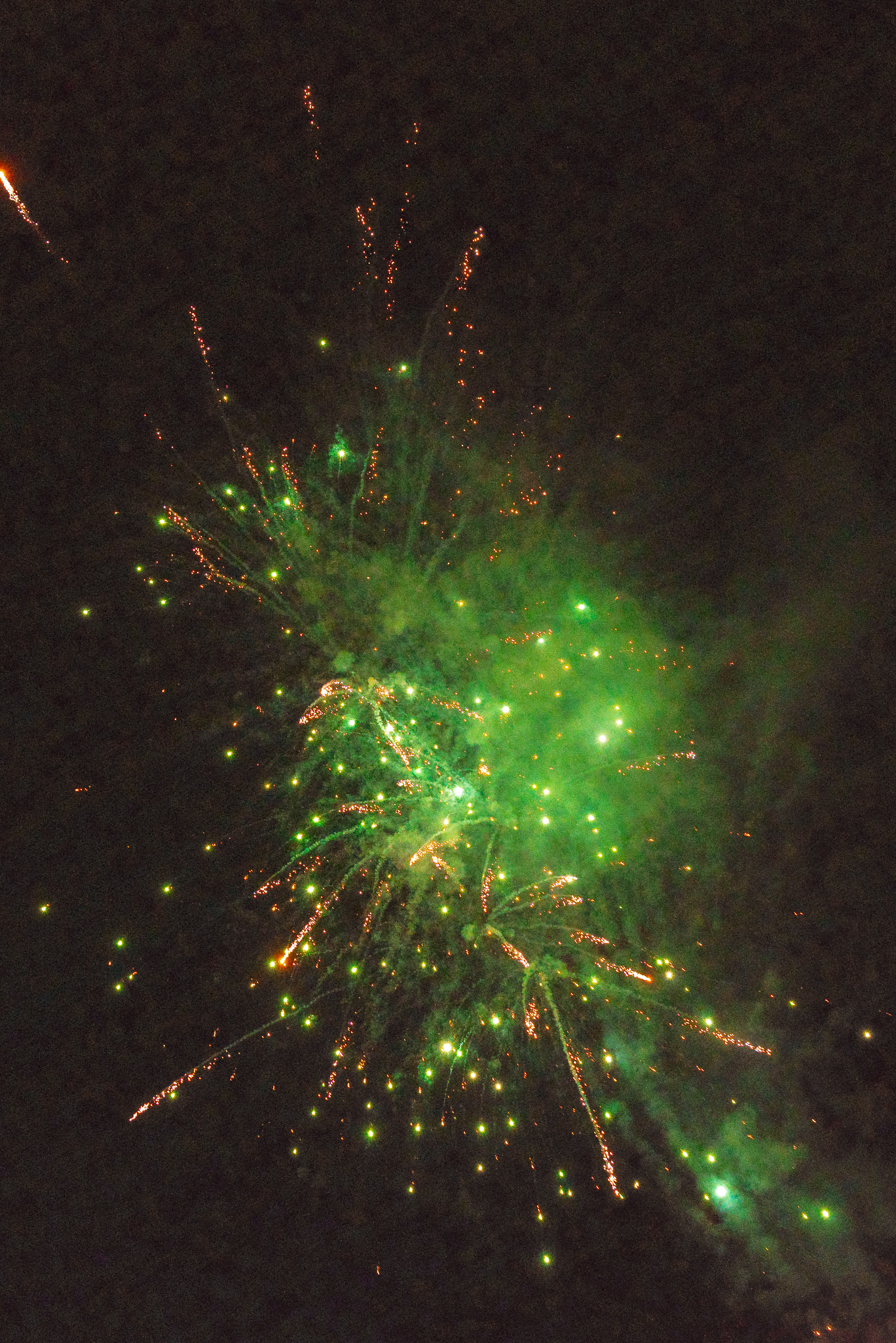 Ramassa 20250621 2932