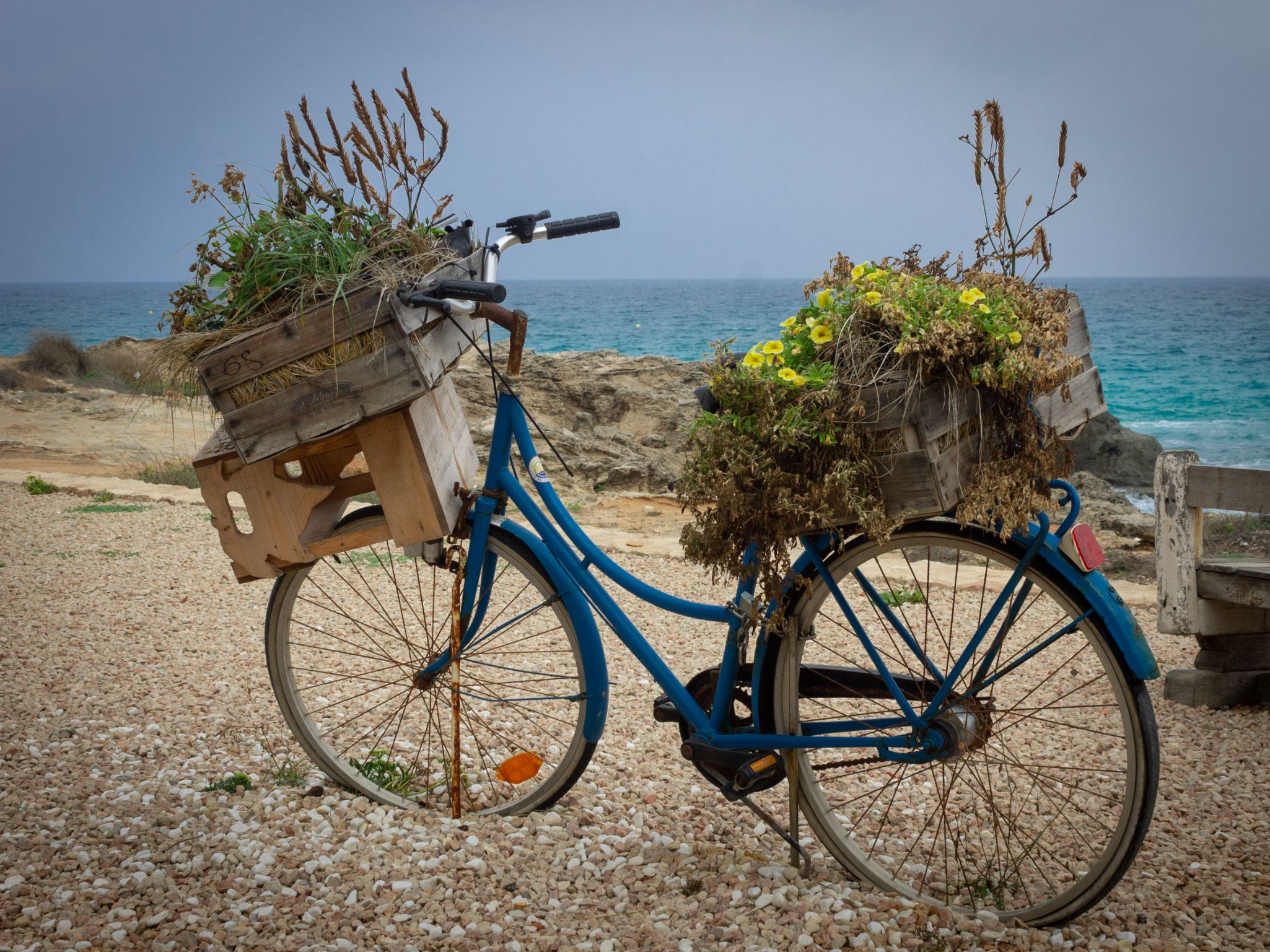Bicicleta