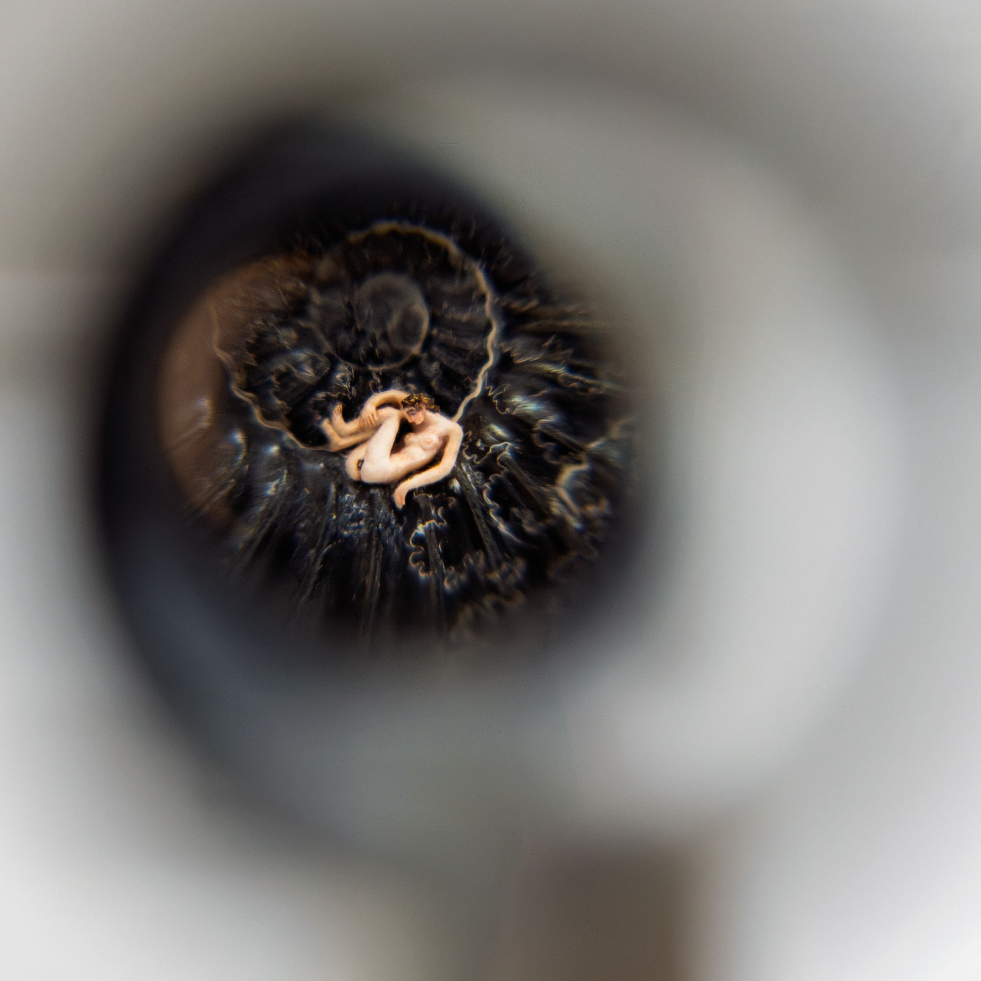 Microescultura dentro de la linea espiral de un fósil