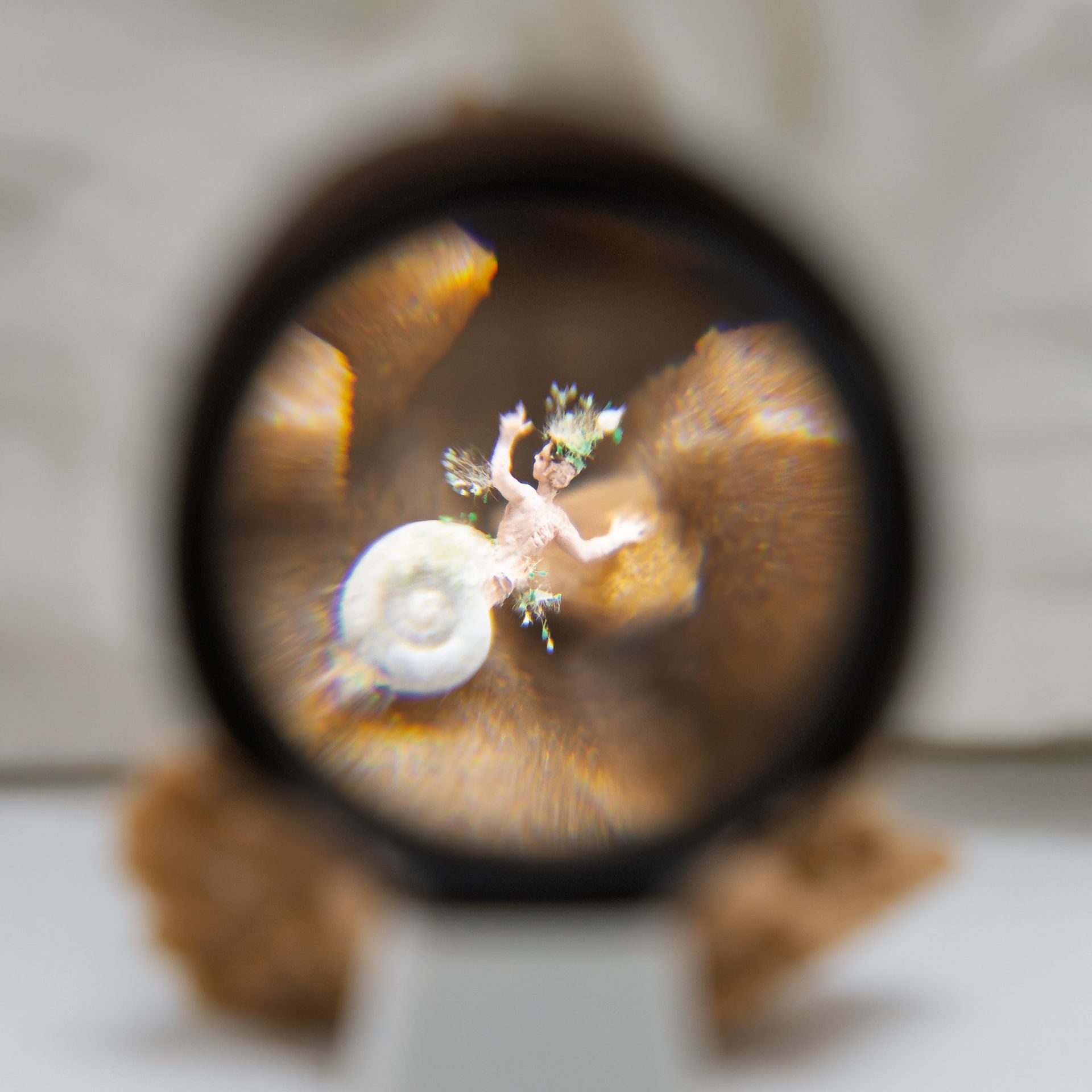 Caracol humano