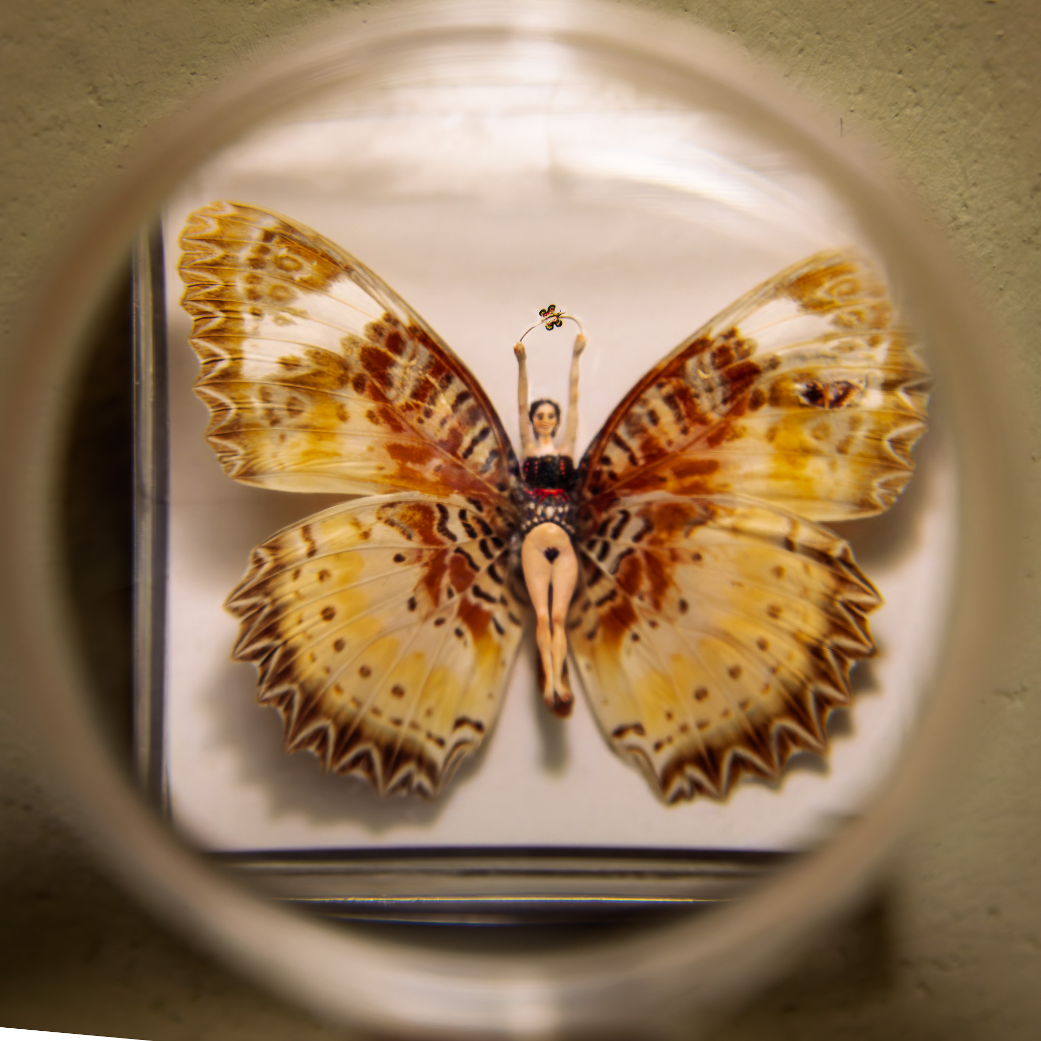 Metamorfosis