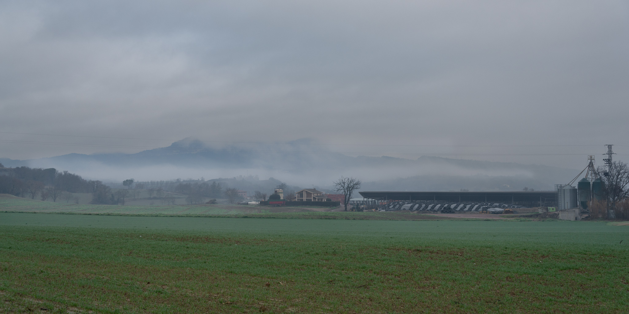 Niebla 20260125 3979