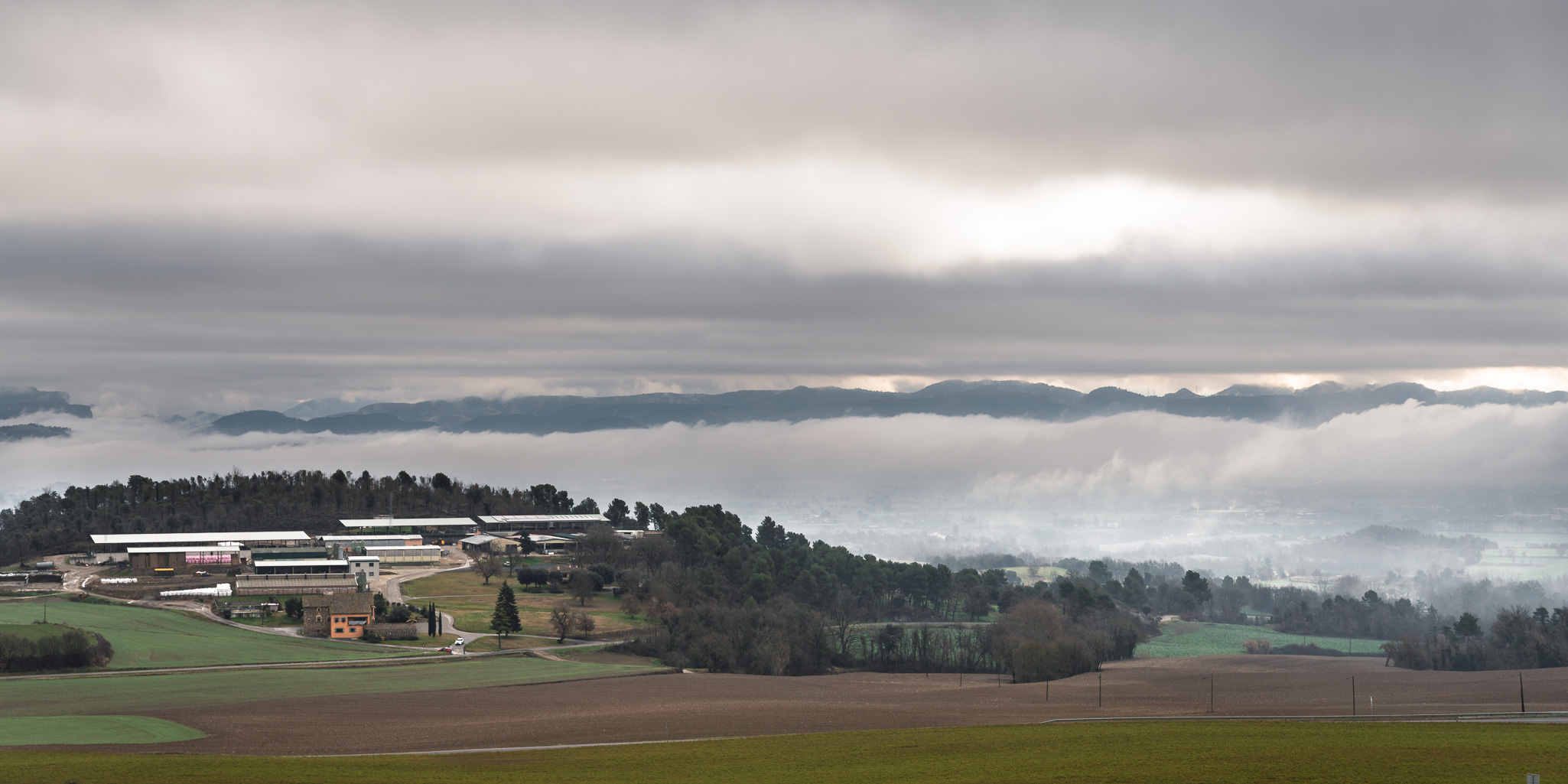 Niebla 20260125 3985