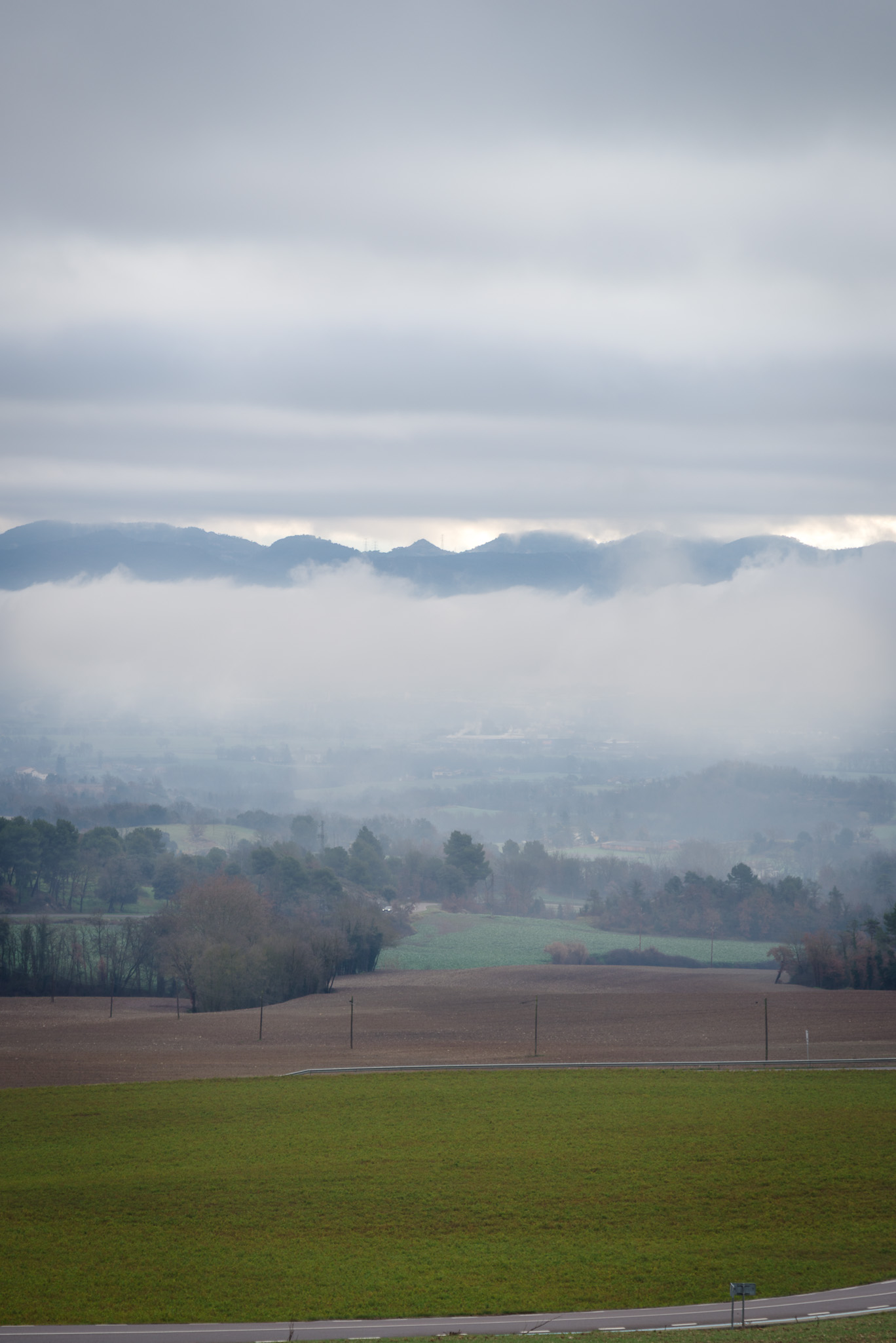Niebla 20260125 3989