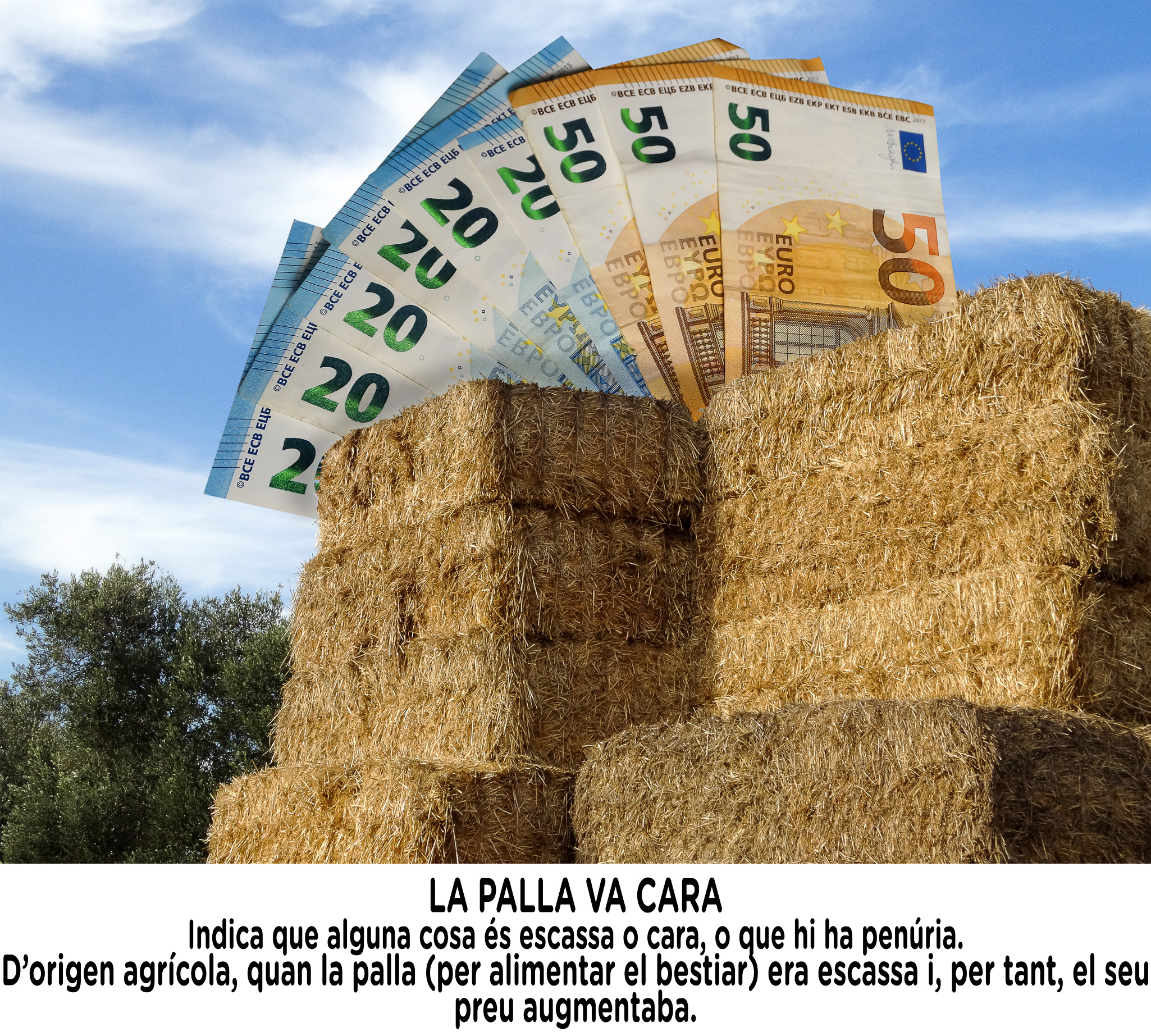 LA PALLA VA CARA