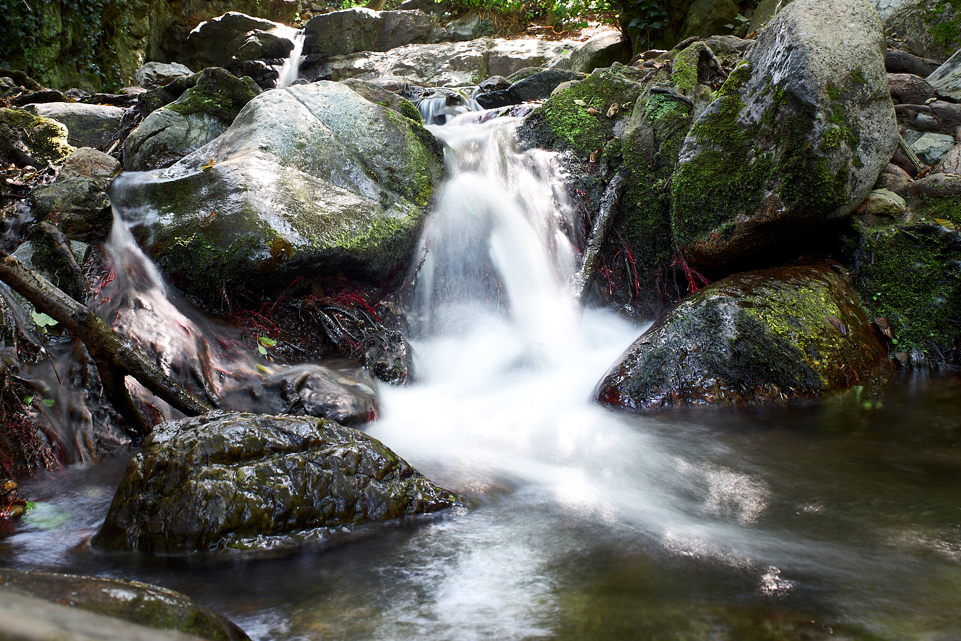 Vallcarquera 200801 1641