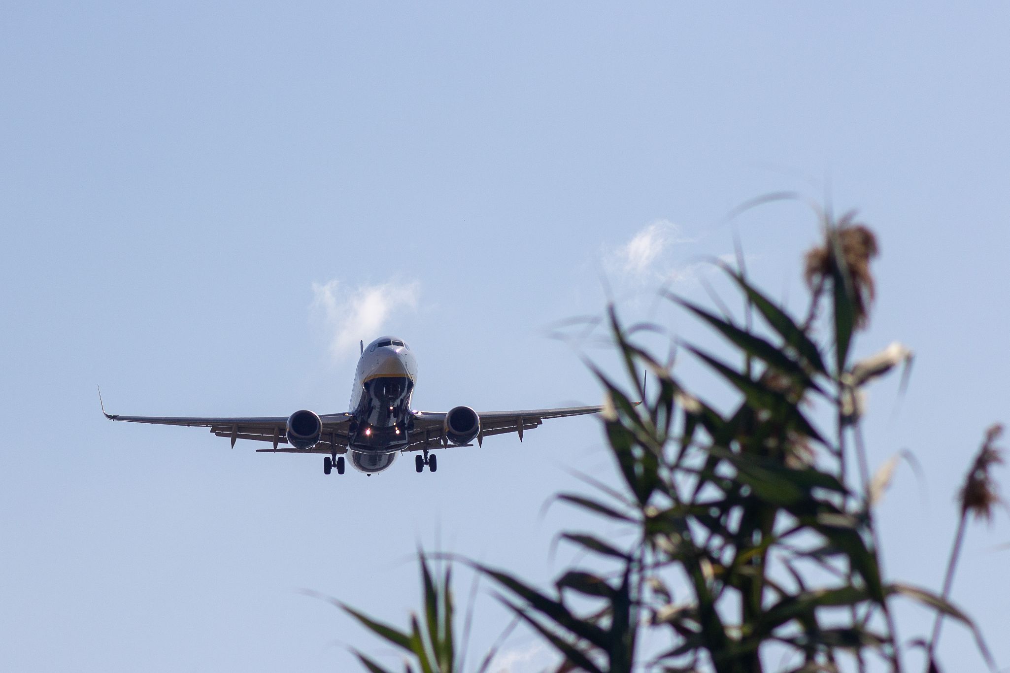 Avio1