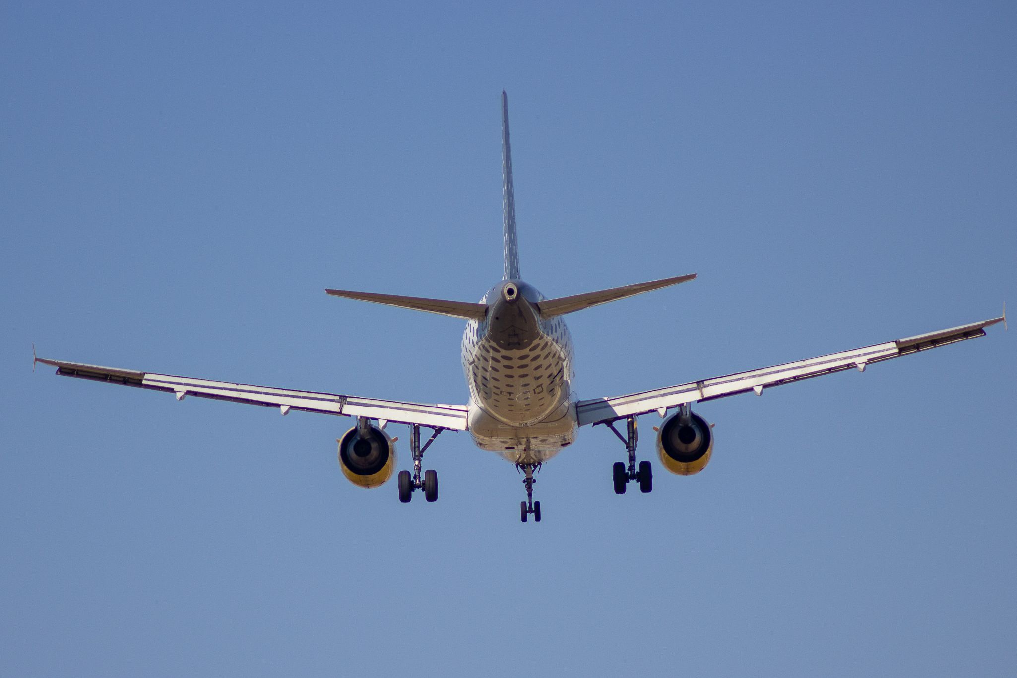 Avio2
